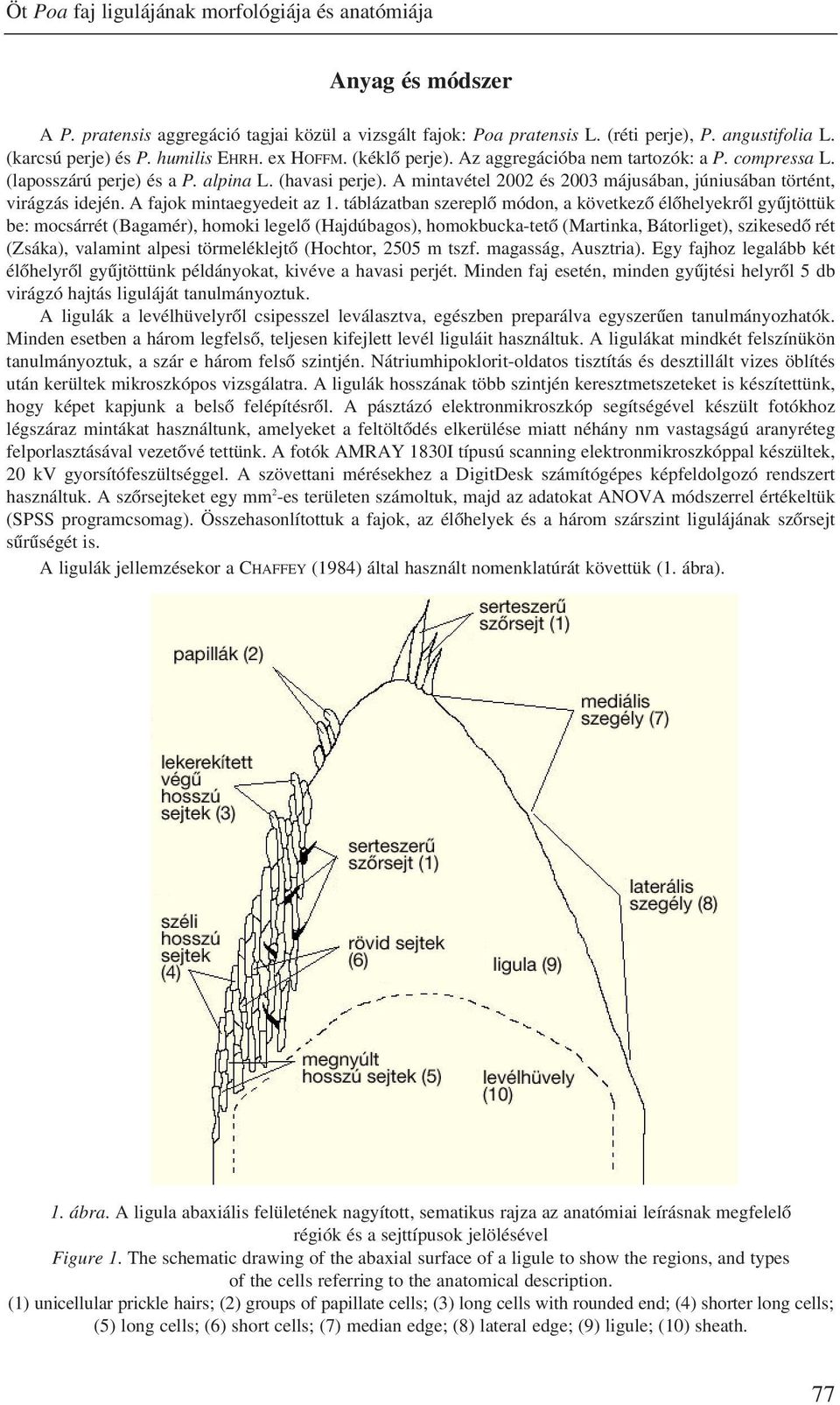 A mintavétel 2002 és 2003 májusában, júniusában történt, virágzás idején. A fajok mintaegyedeit az 1.