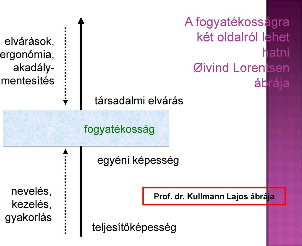 Lorentsen ábrája fogyatékosság egyéni képesség nevelés,