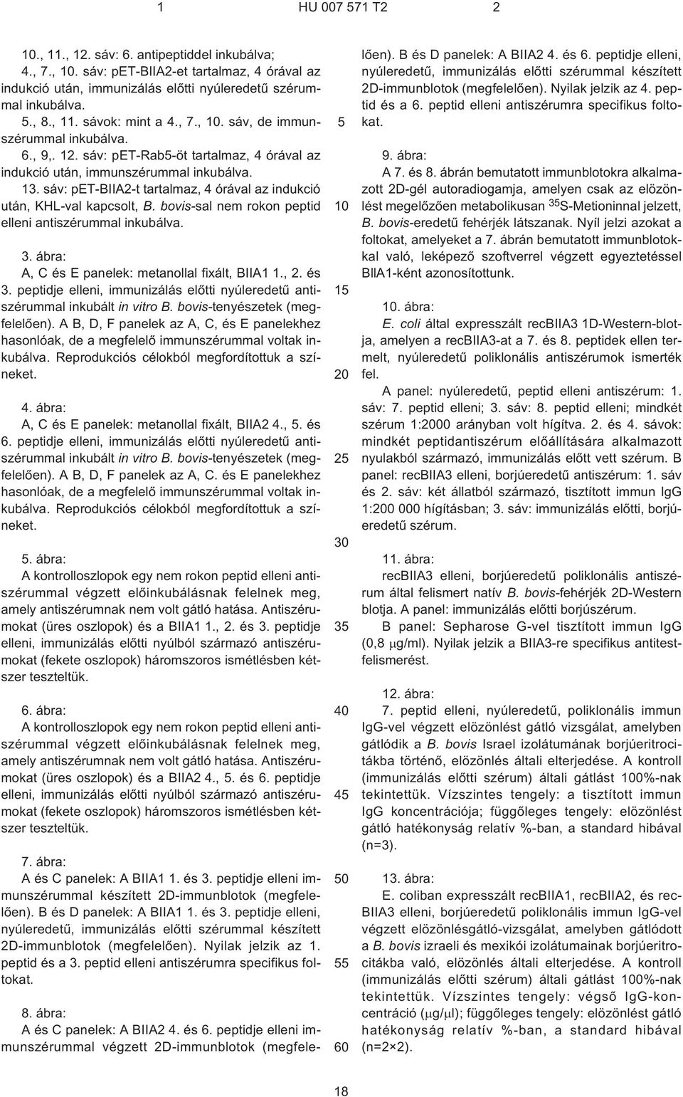 sáv: pet-biia2¹t tartalmaz, 4 órával az indukció után, KHL-val kapcsolt, B. bovis-sal nem rokon peptid elleni antiszérummal inkubálva. 3. ábra: A, C és E panelek: metanollal fixált, BIIA1 1., 2. és 3.