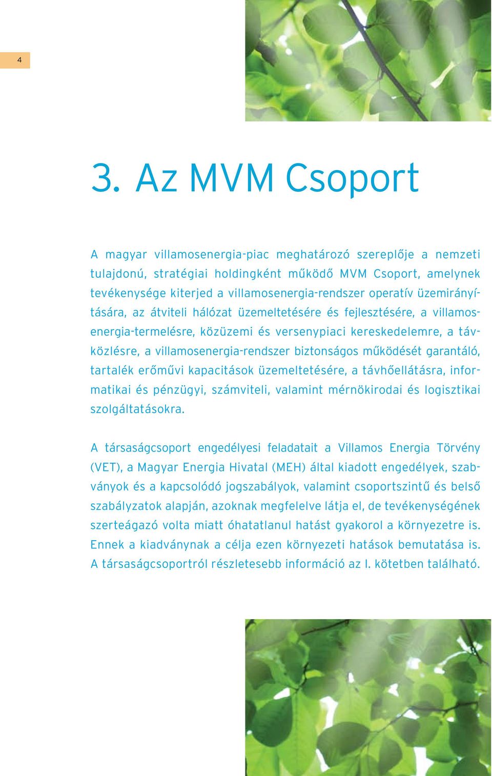 biztonságos működését garantáló, tartalék erőművi kapacitások üzemeltetésére, a távhőellátásra, informatikai és pénzügyi, számviteli, valamint mérnökirodai és logisztikai szolgáltatásokra.