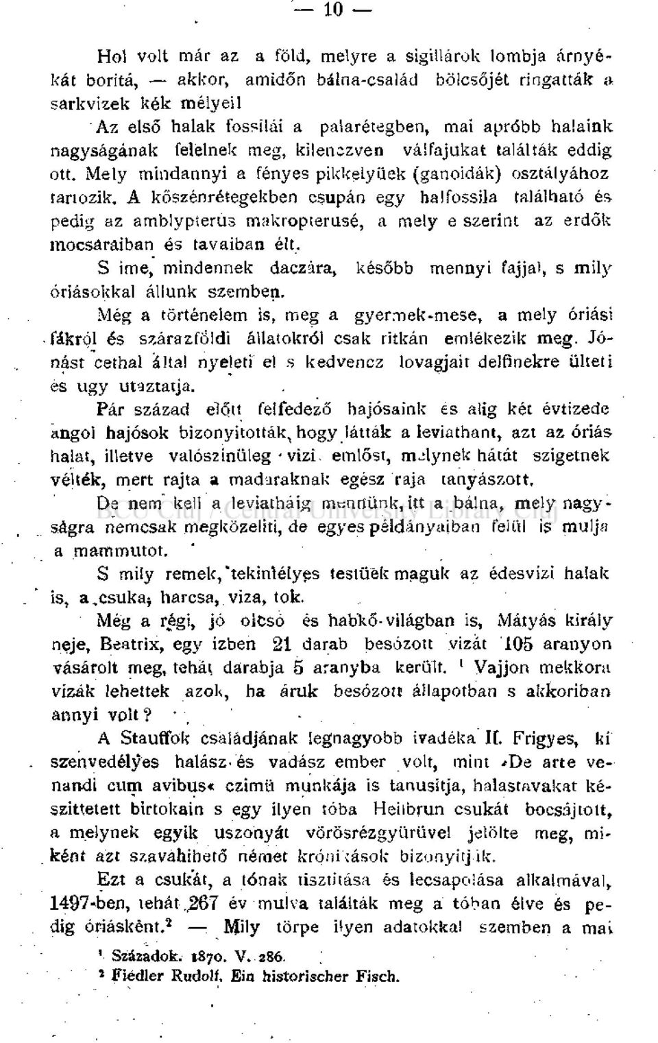 A kőszénrétegekben csupán egy halfossila található éa pedig az amblypierus makropterusé, a mely e szerint az erdők mocsaraiban és tavaiban élt.