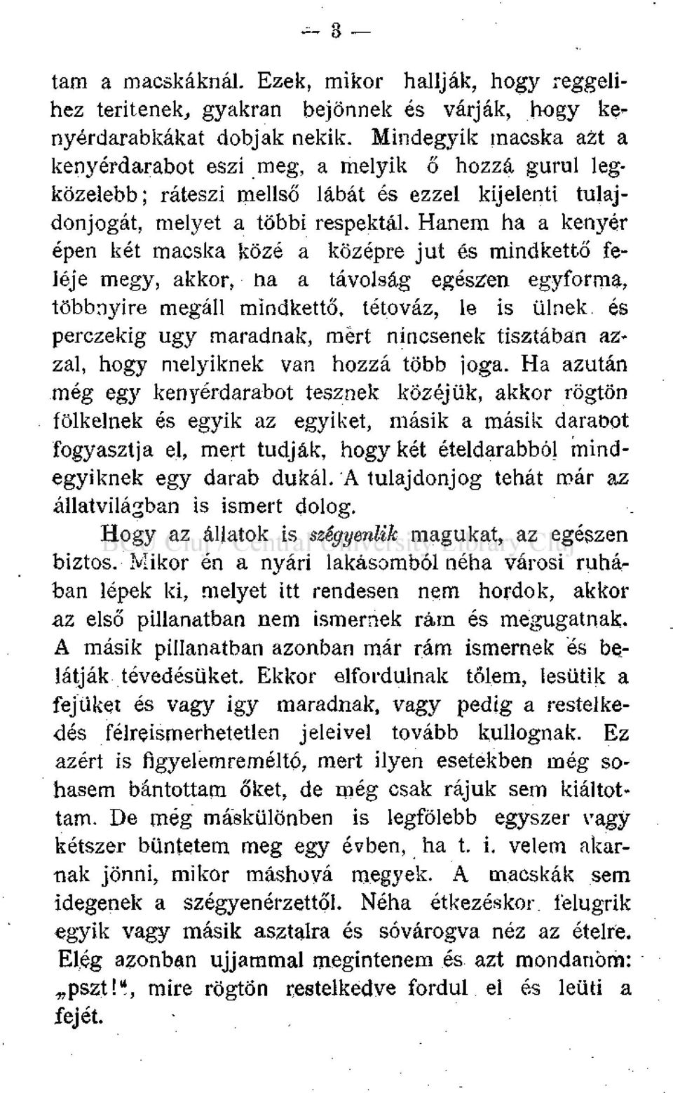 Hanem ha a kenyér épen két macska közé a középre jut és mindkettő feléje megy, akkor, na a távolság egészen egyforma, többnyire megáll mindkettő, tétováz, le is ülnek és perczekig ugy maradnak, mért