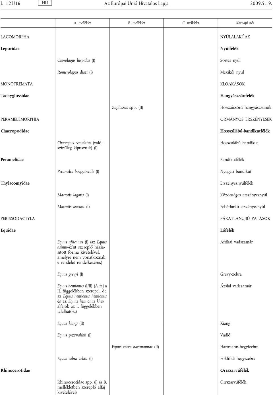 (II) Hosszúcsőrű hangyászsünök PERAMELEMORPHIA Chaeropodidae ORMÁNYOS ERSZÉNYESEK Hosszúlábú-bandikutfélék Chaeropus ecaudatus (valószínűleg kipusztult) (I) Hosszúlábú bandikut Peramelidae