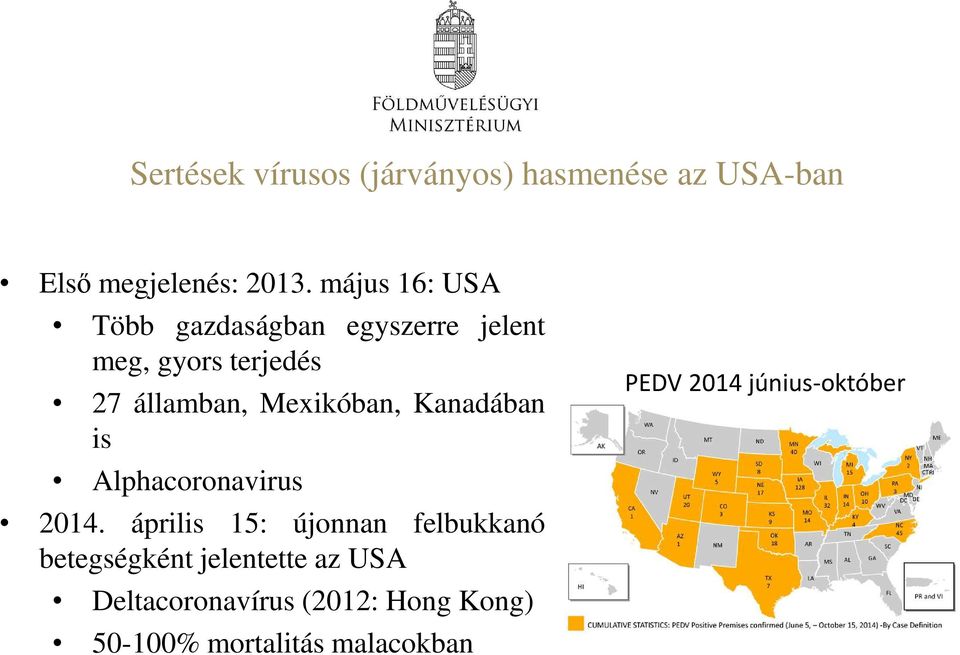 Mexikóban, Kanadában is Alphacoronavirus 2014.