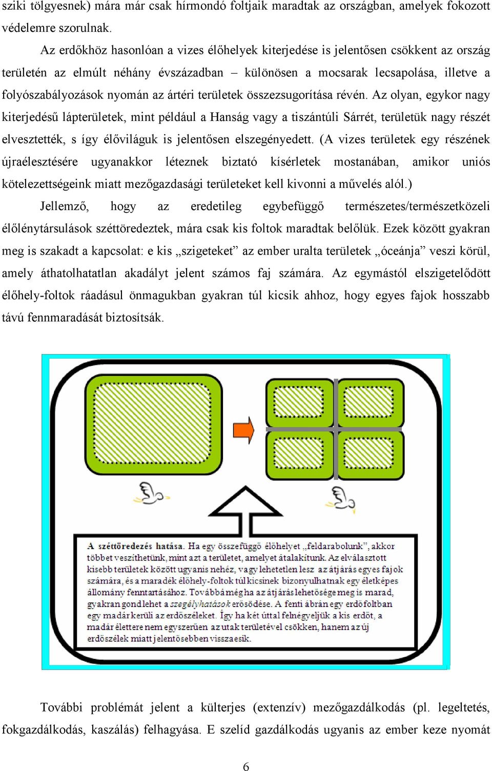 ártéri területek összezsugorítása révén.