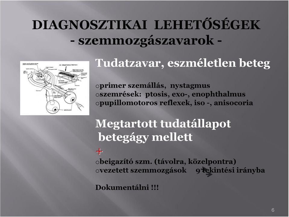 opupillomotoros reflexek, iso -, anisocoria Megtartott tudatállapot betegágy