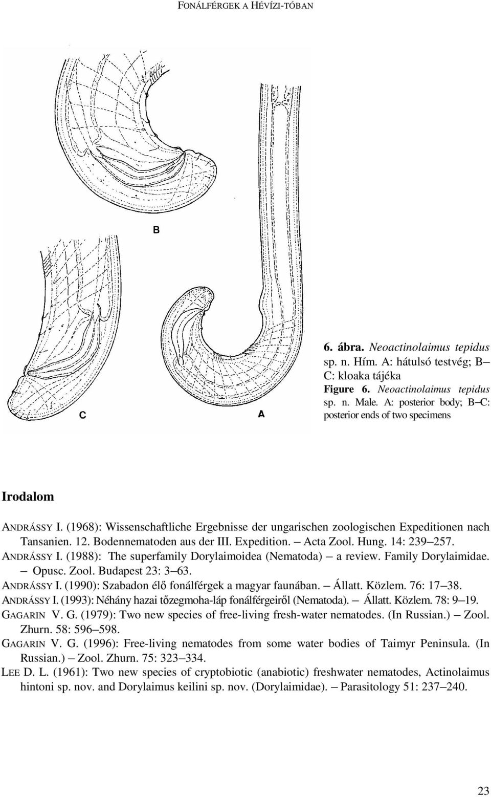 Bodennematoden aus der III. Expedition. Acta Zool. Hung. 14: 239 257. ANDRÁSSY I. (1988): The superfamily Dorylaimoidea (Nematoda) a review. Family Dorylaimidae. Opusc. Zool. Budapest 23: 3 63.