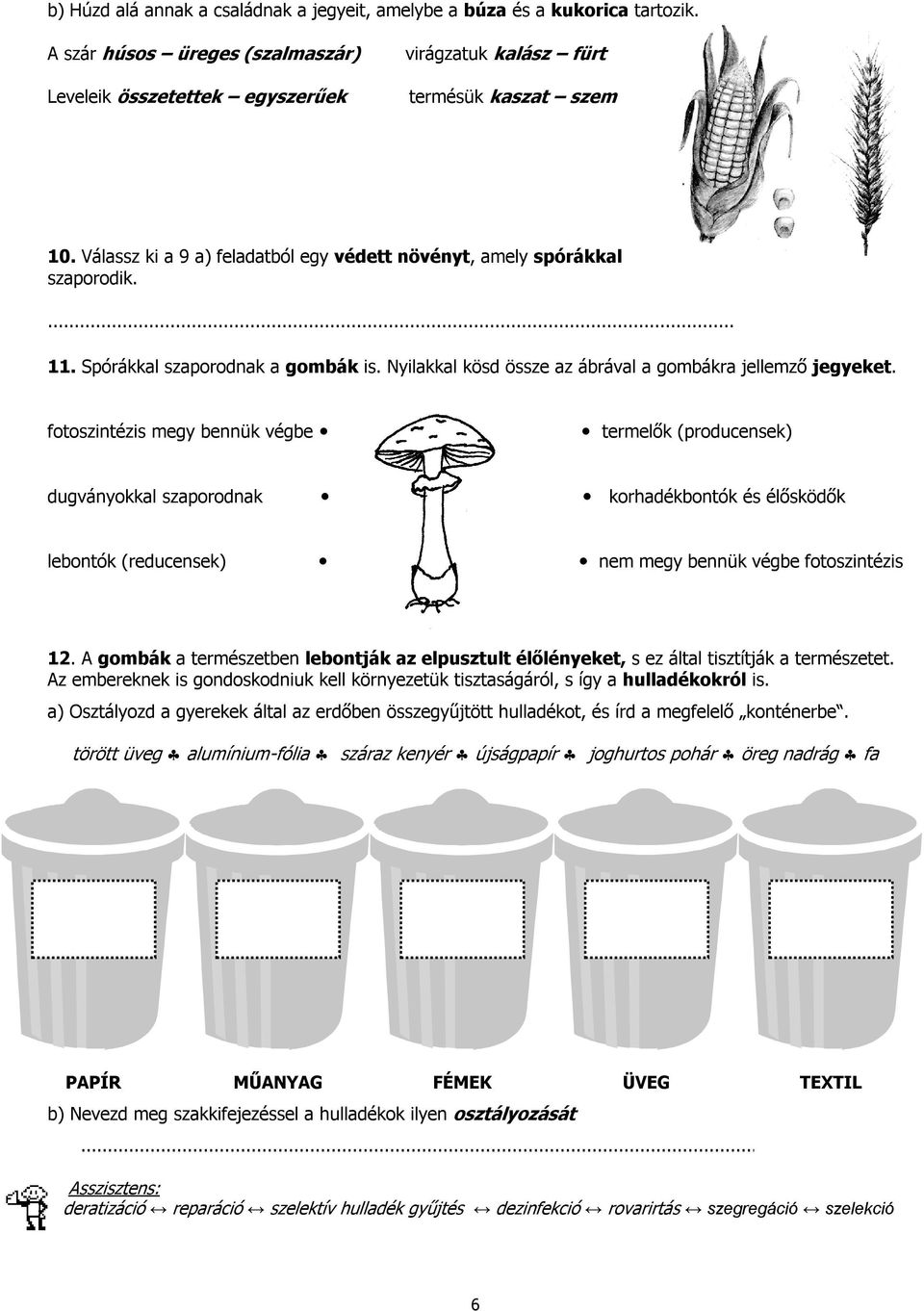 fotoszintézis megy bennük végbe termelők (producensek) dugványokkal szaporodnak korhadékbontók és élősködők lebontók (reducensek) nem megy bennük végbe fotoszintézis 12.