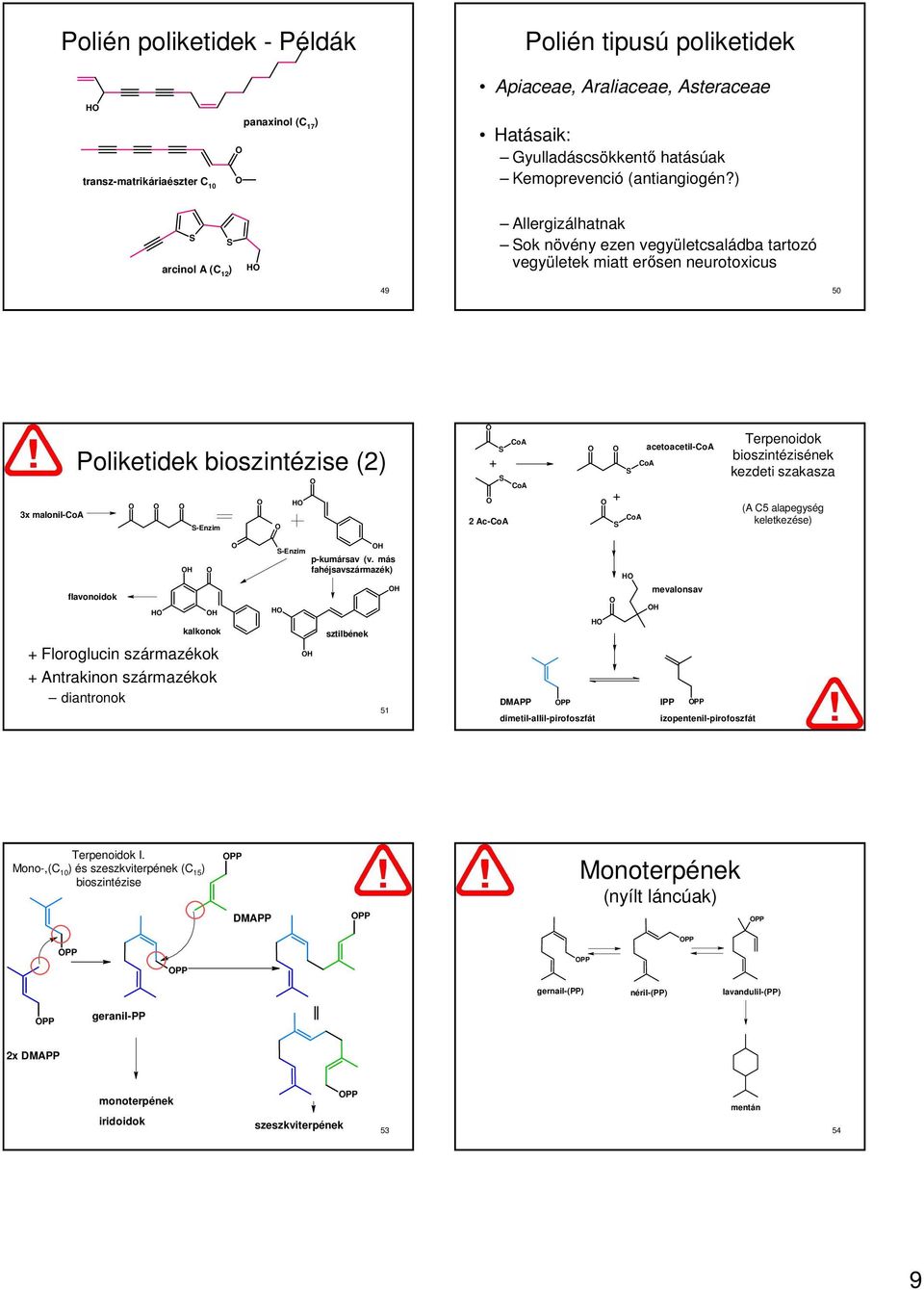 Ac-CoA acetoacetil-coa CoA S + CoA S Terpenoidok bioszintézisének kezdeti szakasza (A C5 alapegység keletkezése) flavonoidok kalkonok + Floroglucin származékok + Antrakinon származékok diantronok