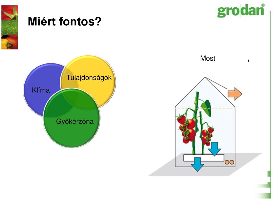 Tulajdonságok