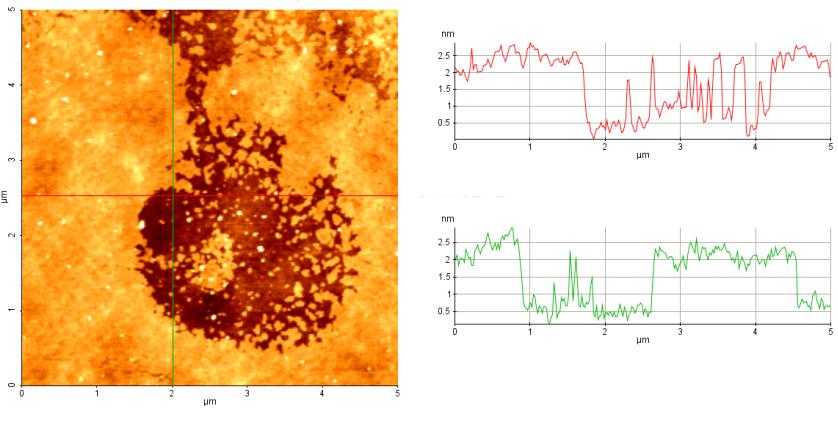 a b Az AFM keresztmetszeti képekből a magassági profilok segítségével a részecskék méretei pontosan meghatározhatók (13. ábra).