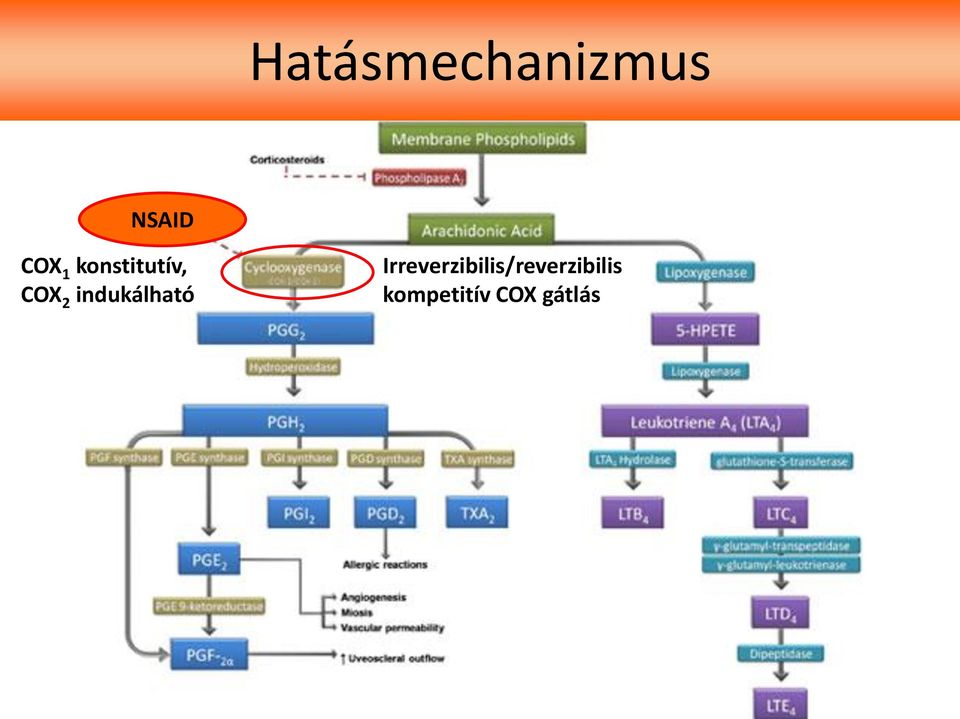 indukálható