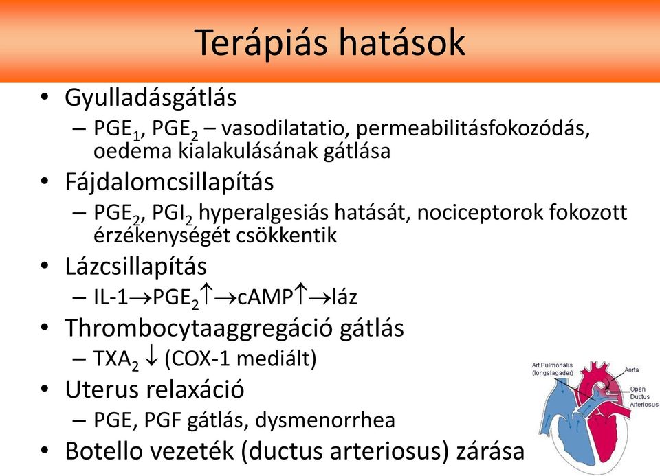 fokozott érzékenységét csökkentik Lázcsillapítás IL-1 PGE 2 camp láz Thrombocytaaggregáció gátlás