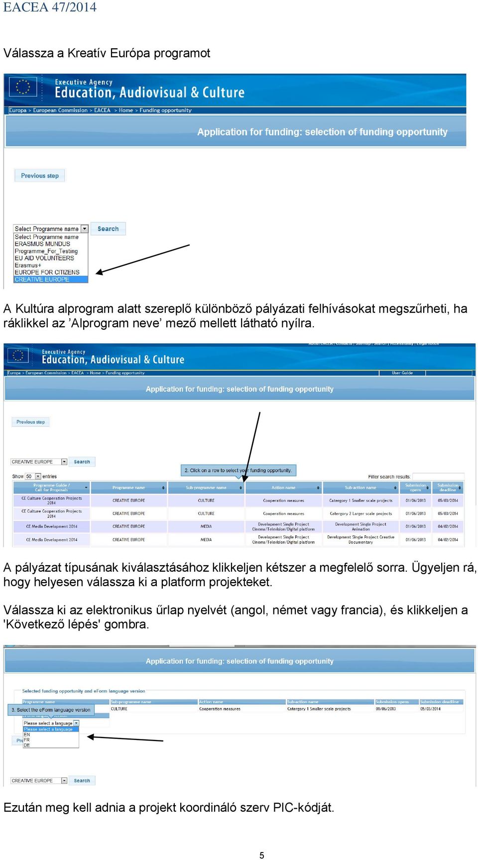 A pályázat típusának kiválasztásához klikkeljen kétszer a megfelelő sorra.