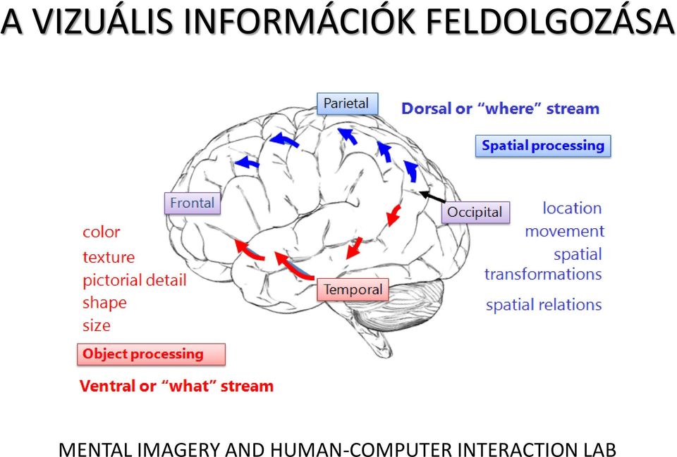 FELDOLGOZÁSA MENTAL