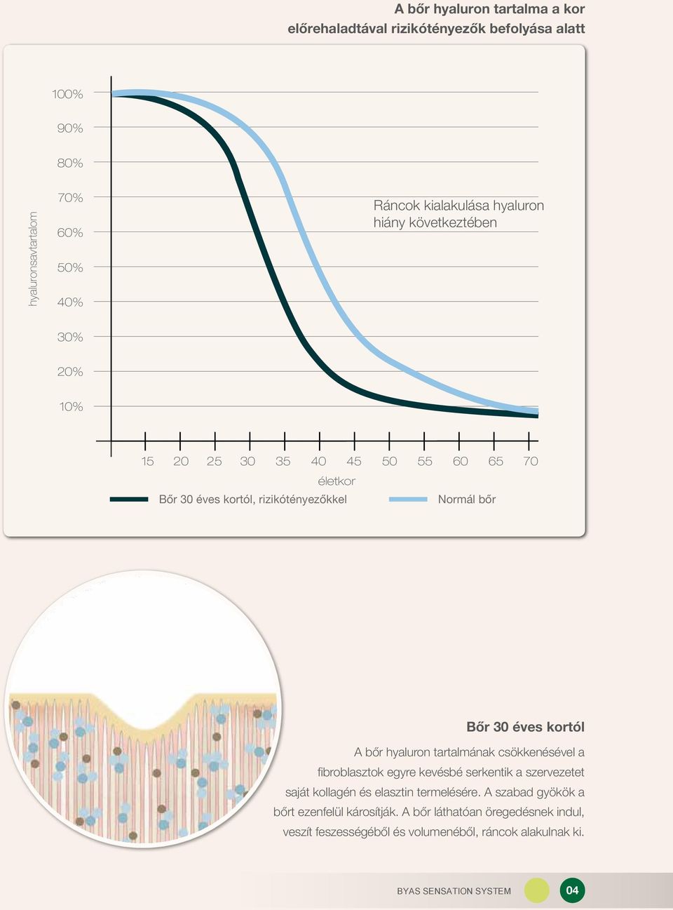 bőr Bőr 30 éves kortól A bőr hyaluron tartalmának csökkenésével a fibroblasztok egyre kevésbé serkentik a szervezetet saját kollagén és