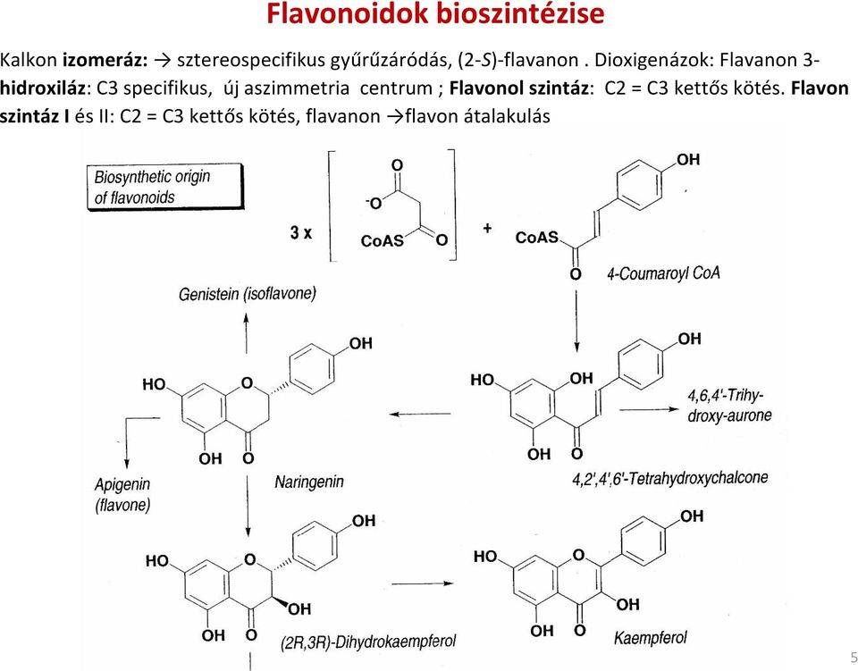 Dioxigenázok: Flavanon 3hidroxiláz: C3 specifikus, új aszimmetria