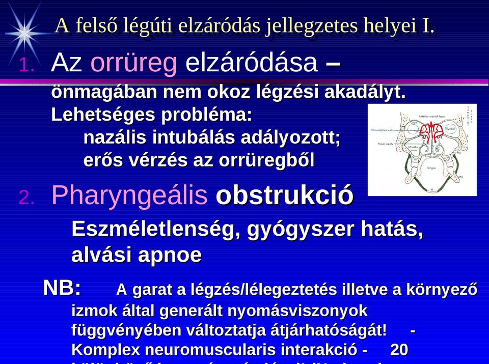 Lehetséges probléma: nazális intubálás adályozott; erős vérzés az orrüregből 2.