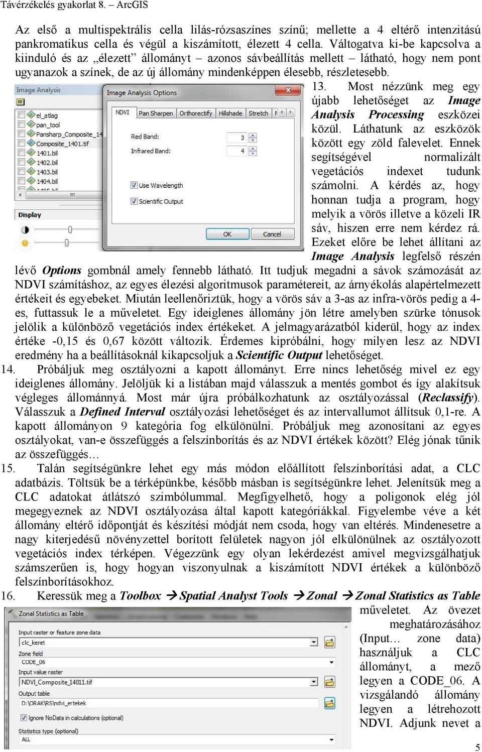 Most nézzünk meg egy újabb lehetőséget az Image Analysis Processing eszközei közül. Láthatunk az eszközök között egy zöld falevelet. Ennek segítségével normalizált vegetációs indexet tudunk számolni.