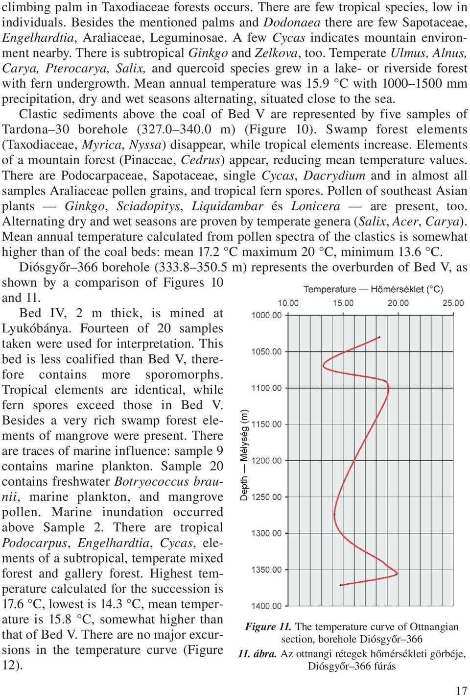 There is subtropical Ginkgo and Zelkova, too. Temperate Ulmus, Alnus, Carya, Pterocarya, Salix, and quercoid species grew in a lake- or riverside forest with fern undergrowth.