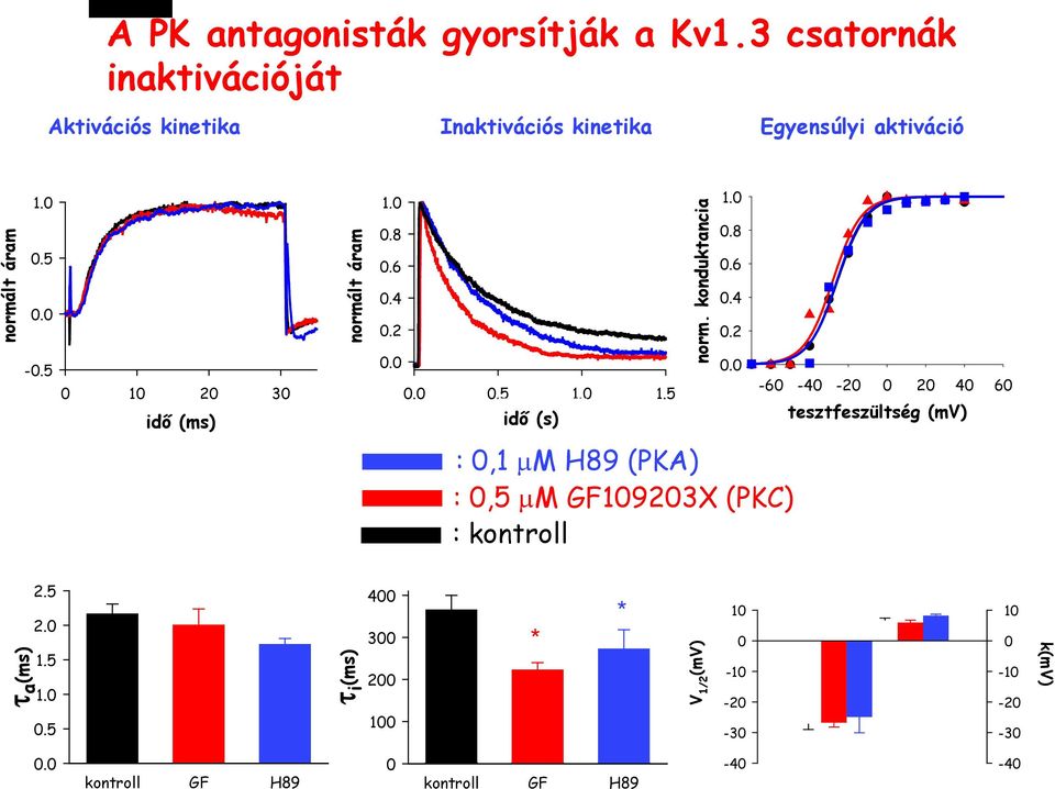 5 1 2 3 idő idő (ms) (ms) normált áram 1..8.6.4.2...5 1. 1.5 idő (s) norm. konduktancia 1..8.6.4.2. :,1 µm H89 (PKA) :,5 µm GF1923X (PKC) : kontroll -6-4 -2 2 4 6 tesztfeszültség (mv) τ a (ms) 2.