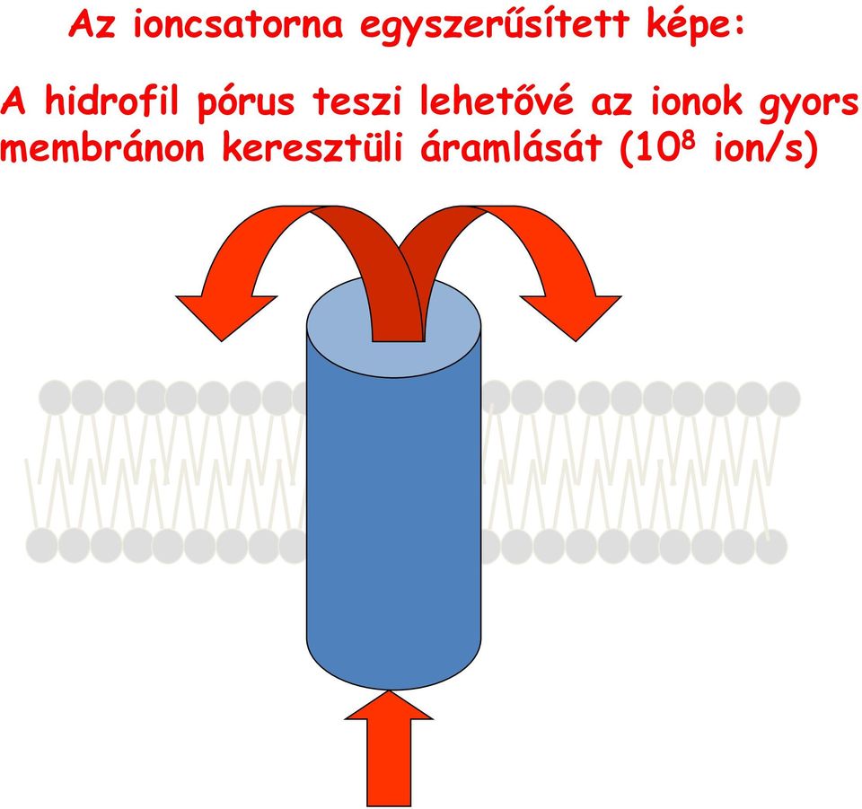 lehetővé az ionok gyors