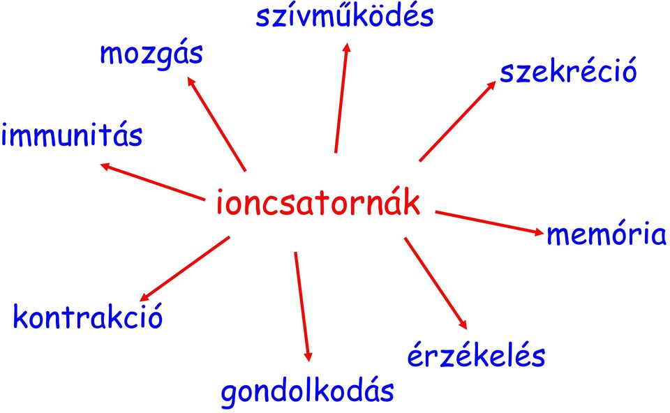 ioncsatornák szekréció