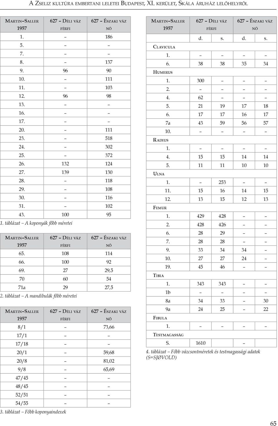 27 29,5 70 60 54 71a 29 27,5 2. táblázat A mandibulák főbb méretei 627 Déli váz 627 Északi váz 8/1 73,66 17/1 17/18 20/1 59,68 20/8 81,02 9/8 65,69 47/45 48/45 52/51 54/55 3.