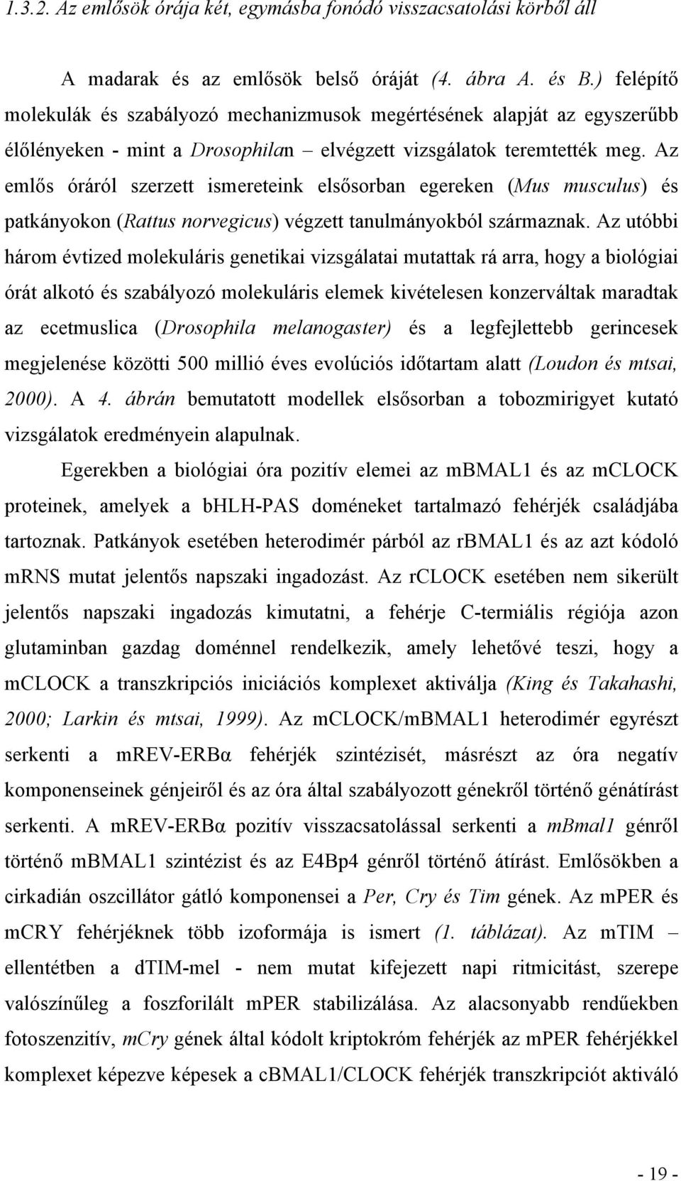 Az emlős óráról szerzett ismereteink elsősorban egereken (Mus musculus) és patkányokon (Rattus norvegicus) végzett tanulmányokból származnak.