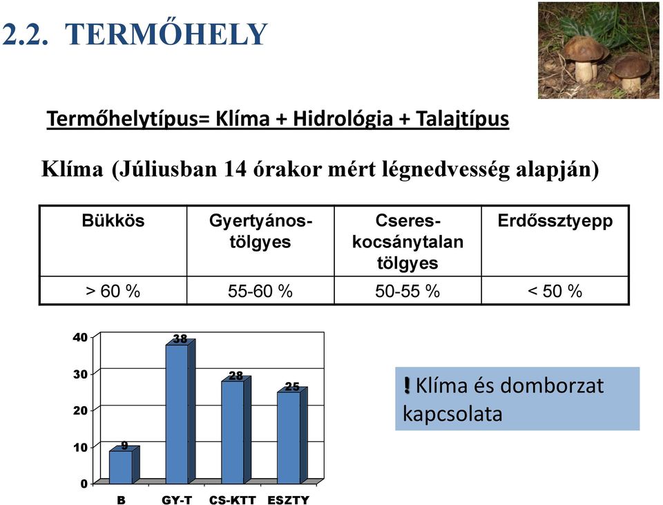 Gyertyánostölgyes Csereskocsánytalan tölgyes Erdőssztyepp > 60 % 55-60