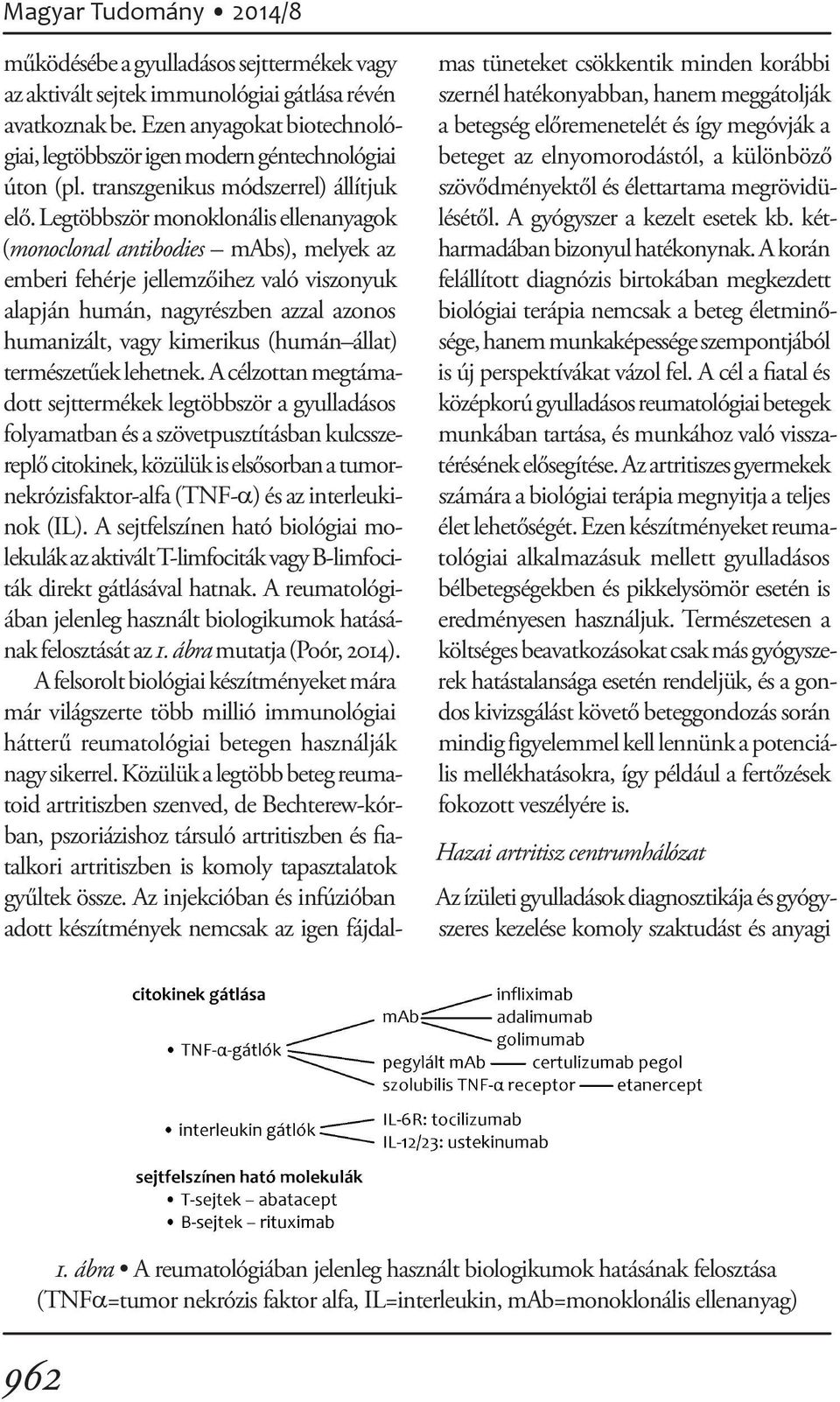 Legtöbbször monoklonális ellenanyagok (monoclonal antibodies mabs), me lyek az emberi fehérje jellemzőihez való viszonyuk alapján humán, nagyrész ben azzal azonos humanizált, vagy kimerikus (humán