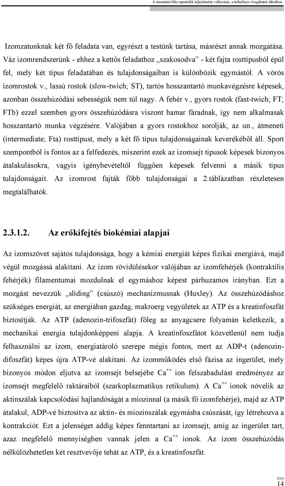 , lassú rostok (slow-twich; ST), tartós hosszantartó munkavégzésre képesek, azonban összehúzódási sebességük nem túl nagy. A fehér v.