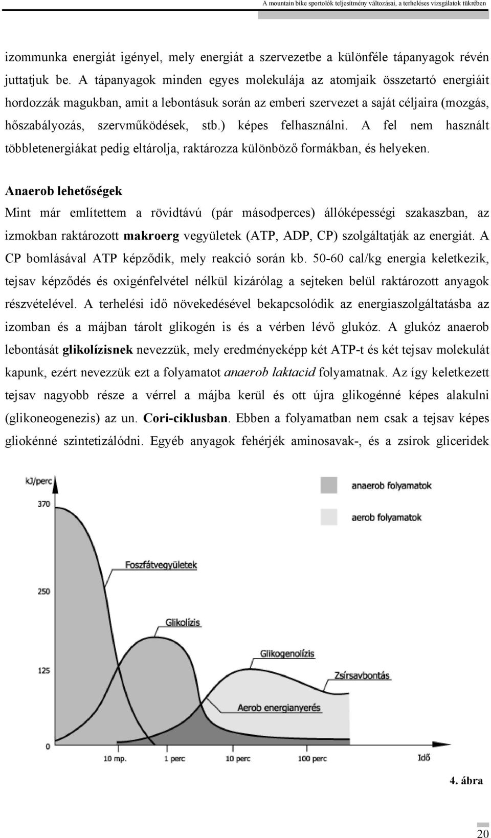 ) képes felhasználni. A fel nem használt többletenergiákat pedig eltárolja, raktározza különböző formákban, és helyeken.