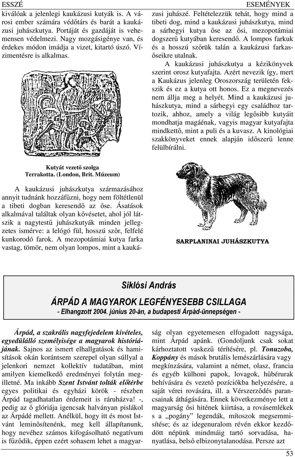 Feltételezzük tehát, hogy mind a tibeti dog, mind a kaukázusi juhászkutya, mind a sárhegyi kutya őse az ősi, mezopotámiai dogszerű kutyában keresendő.