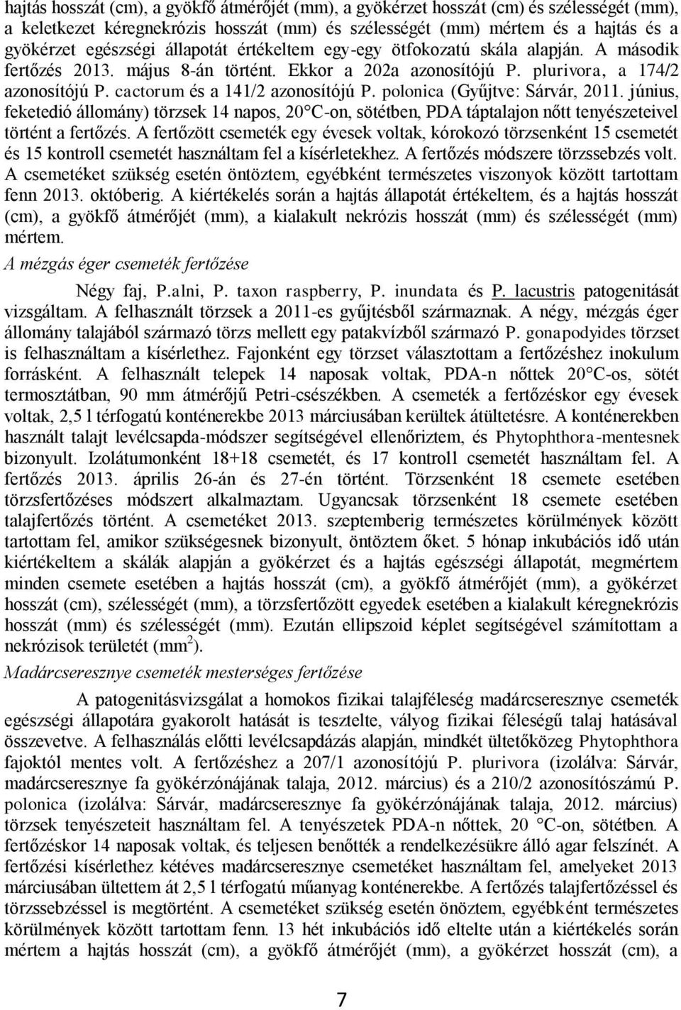 polonica (Gyűjtve: Sárvár, 2011. június, feketedió állomány) törzsek 14 napos, 20 C-on, sötétben, PDA táptalajon nőtt tenyészeteivel történt a fertőzés.