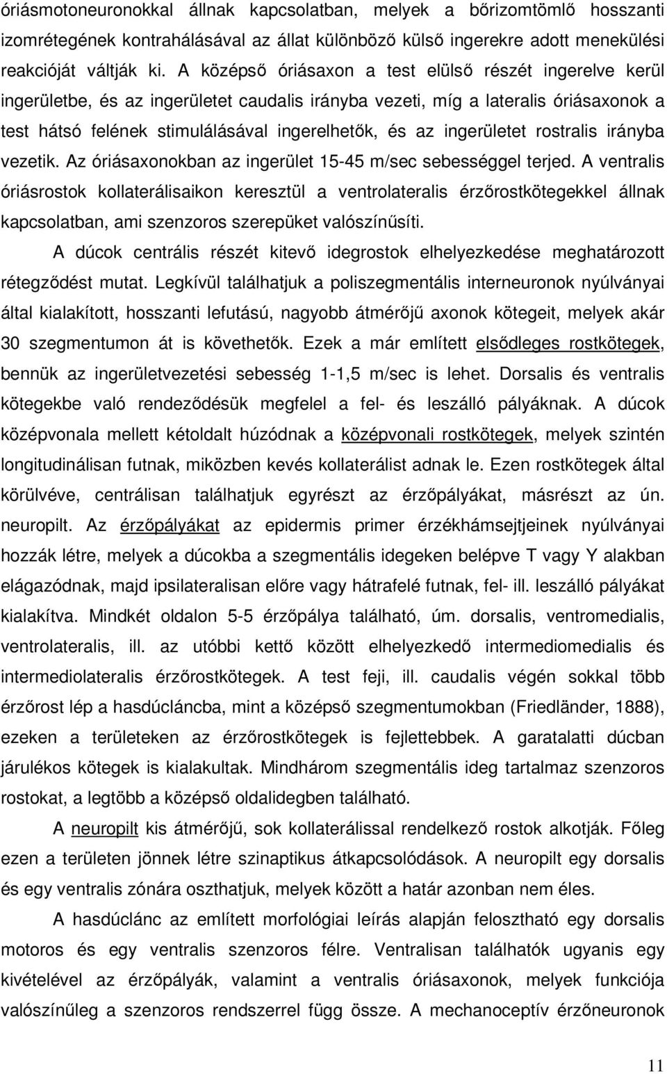 ingerületet rostralis irányba vezetik. Az óriásaxonokban az ingerület 15-45 m/sec sebességgel terjed.