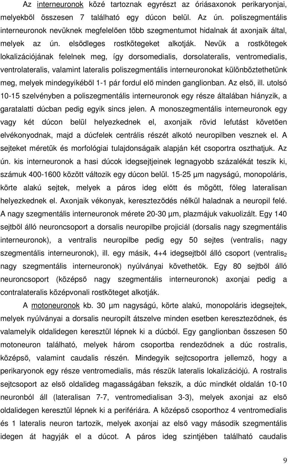 Nevük a rostkötegek lokalizációjának felelnek meg, így dorsomedialis, dorsolateralis, ventromedialis, ventrolateralis, valamint lateralis poliszegmentális interneuronokat különböztethetünk meg,