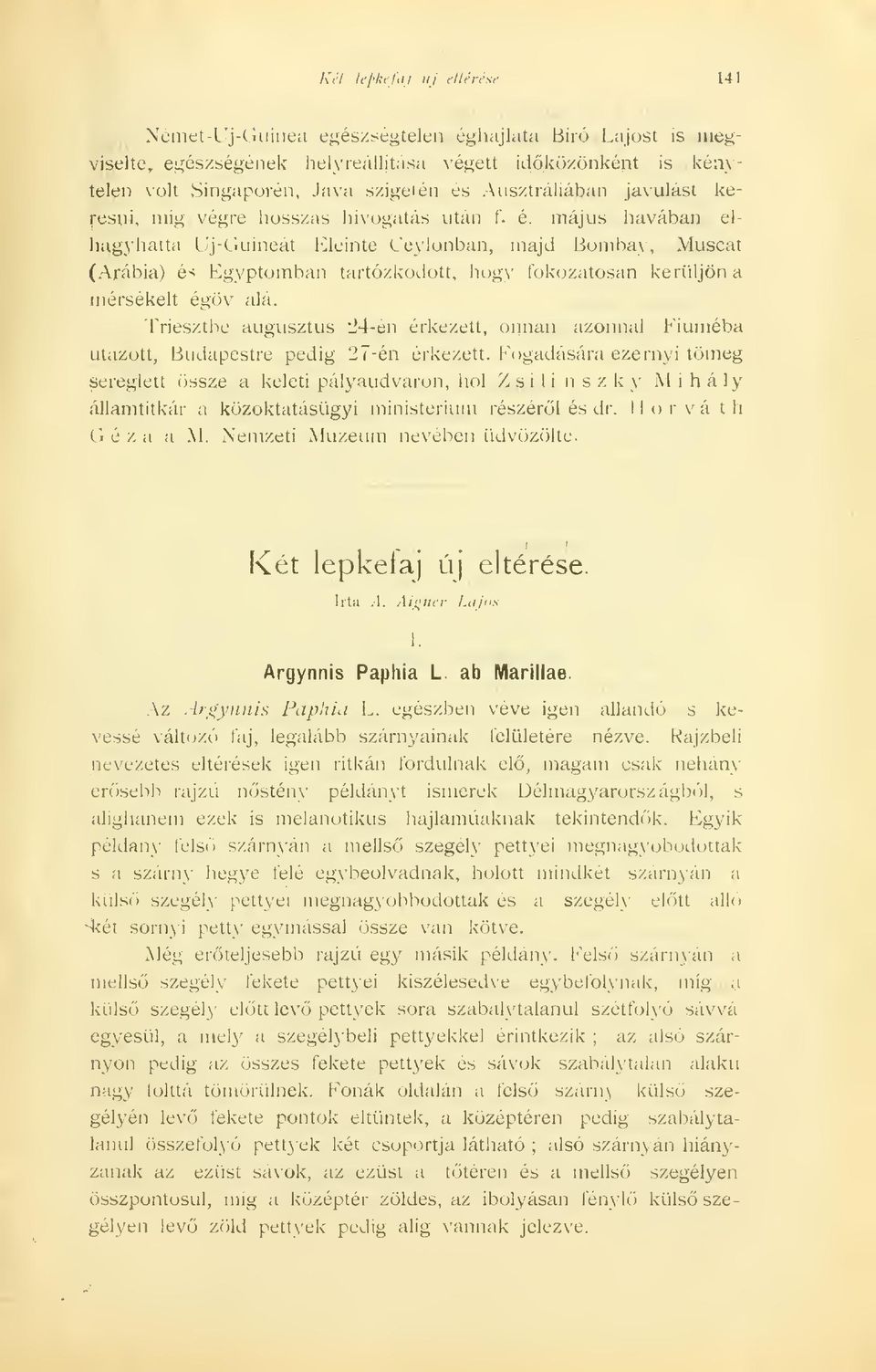 május havában el hagyhatta Uj-Guineát Eleinte Ceylonban, majd Bombay, Muscat (Arábia) és Egyptomban tartózkodott, hogy fokozatosan kerüljön a mérsékelt égöv alá.