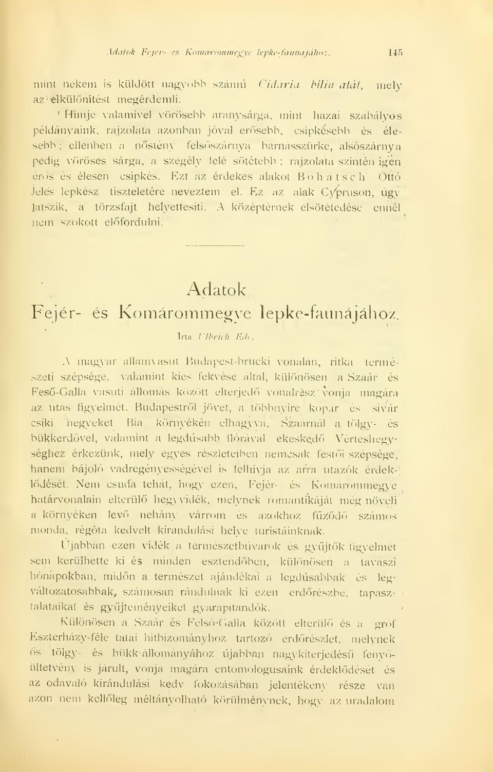 leié sötétebb ; rajzolata szintén igén érs es élesen csipkés. Ezt az érdekes alakot Bohatsch Ottó Jeles lepkesz tiszteletére neveztem el. Ez az alak Cypruson, úgy latszik, a törzsfajt helyettesíti.