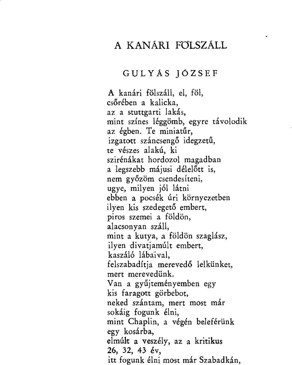 környezetben ilyen kis szedeget ő embert, Piros szemei.