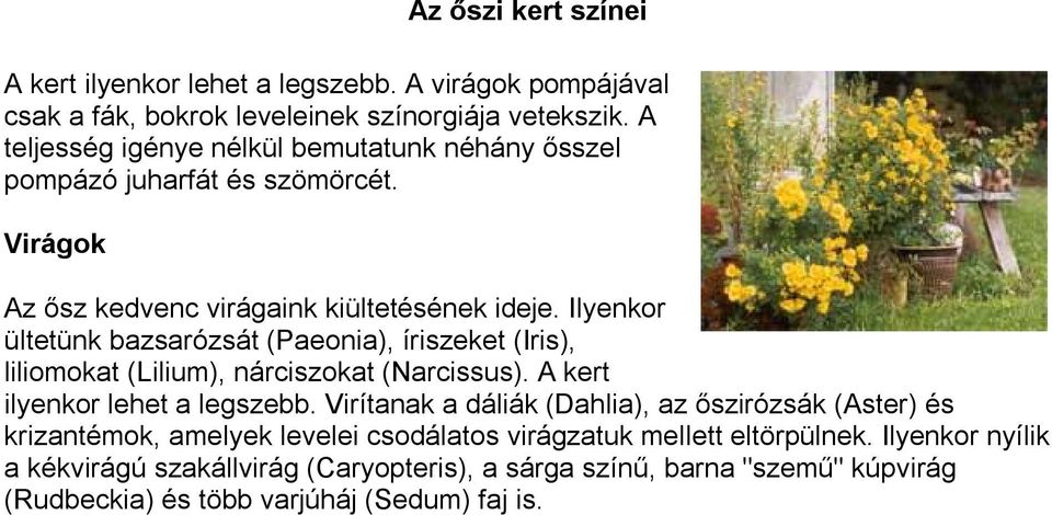 Ilyenkor ültetünk bazsarózsát (Paeonia), íriszeket (Iris), liliomokat (Lilium), nárciszokat (Narcissus). A kert ilyenkor lehet a legszebb.