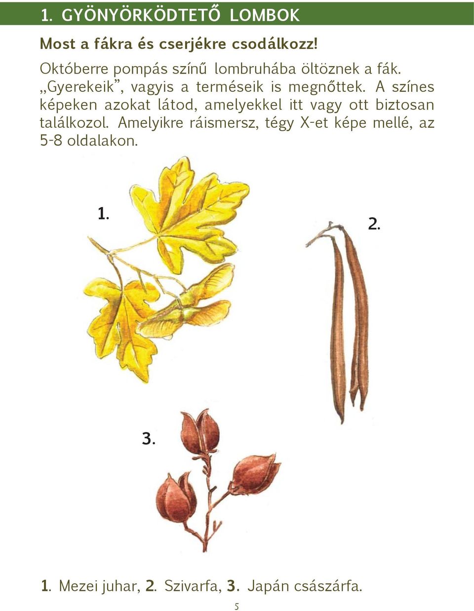 Gyerekeik, vagyis a terméseik is megnőttek.