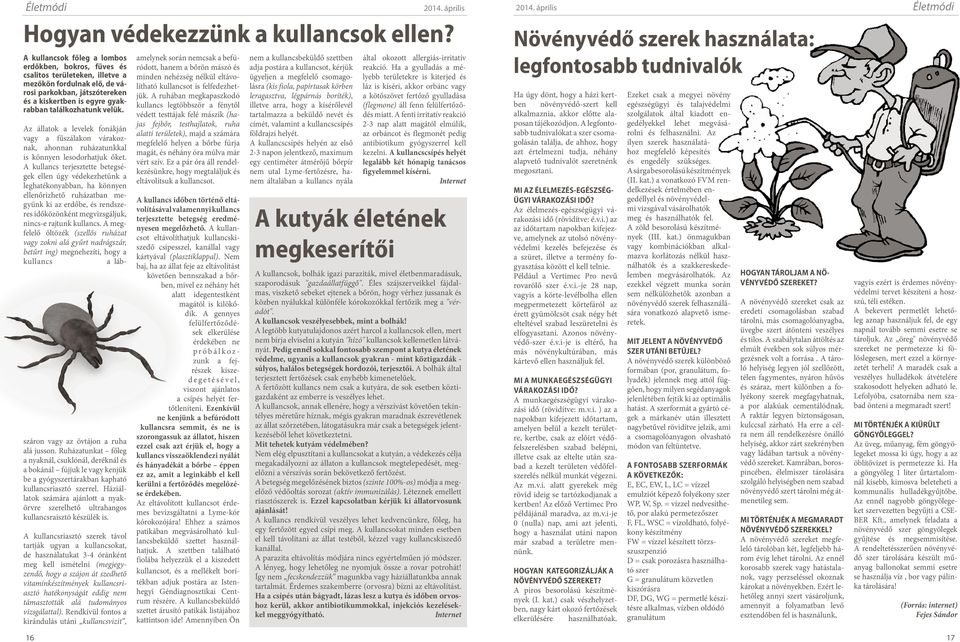 velük. Az állatok a levelek fonákján vagy a fűszálakon várakoznak, ahonnan ruházatunkkal is könnyen lesodorhatjuk őket.