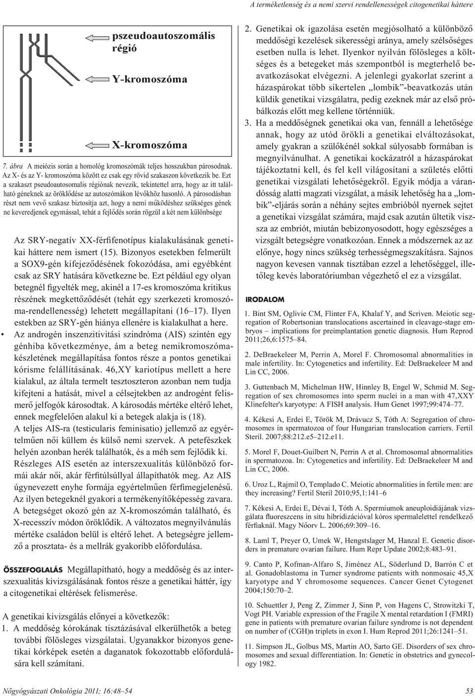 Ezt a szakaszt pseudoautosomalis régiónak nevezik, tekintettel arra, hogy az itt található géneknek az öröklôdése az autoszómákon lévôkhöz hasonló.