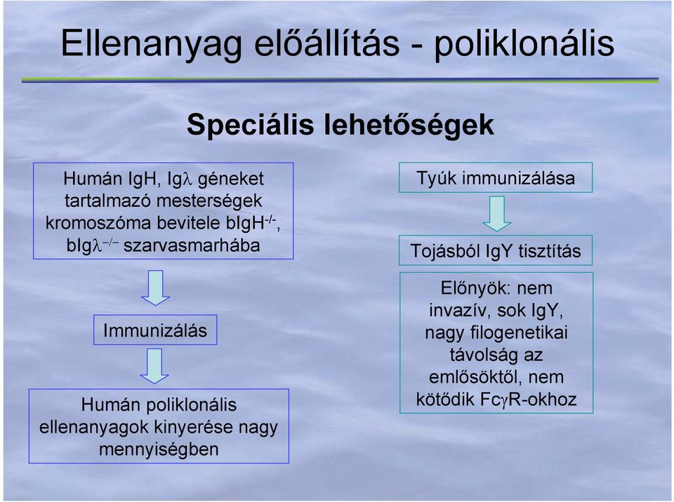 Humán poliklonális ellenanyagok kinyerése nagy mennyiségben Tyúk immunizálása Tojásból IgY