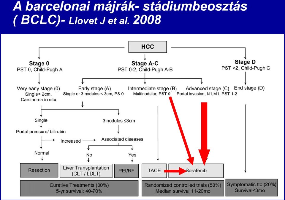 BCLC)- Llovet J et