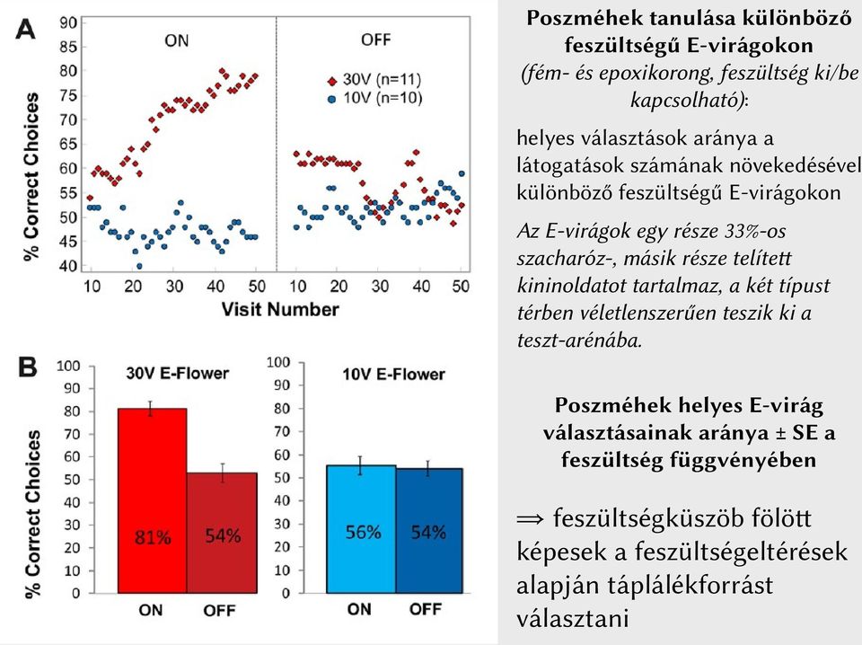 része telített kininoldatot tartalmaz, a két típust térben véletlenszerűen teszik ki a teszt-arénába.