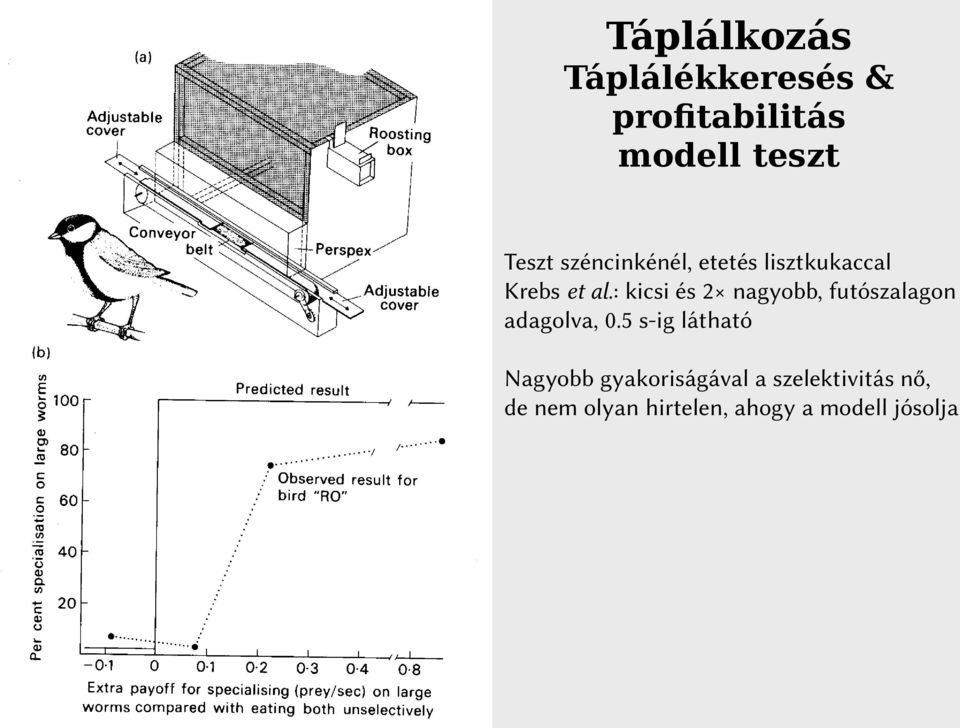 : kicsi és 2 nagyobb, futószalagon adagolva, 0.