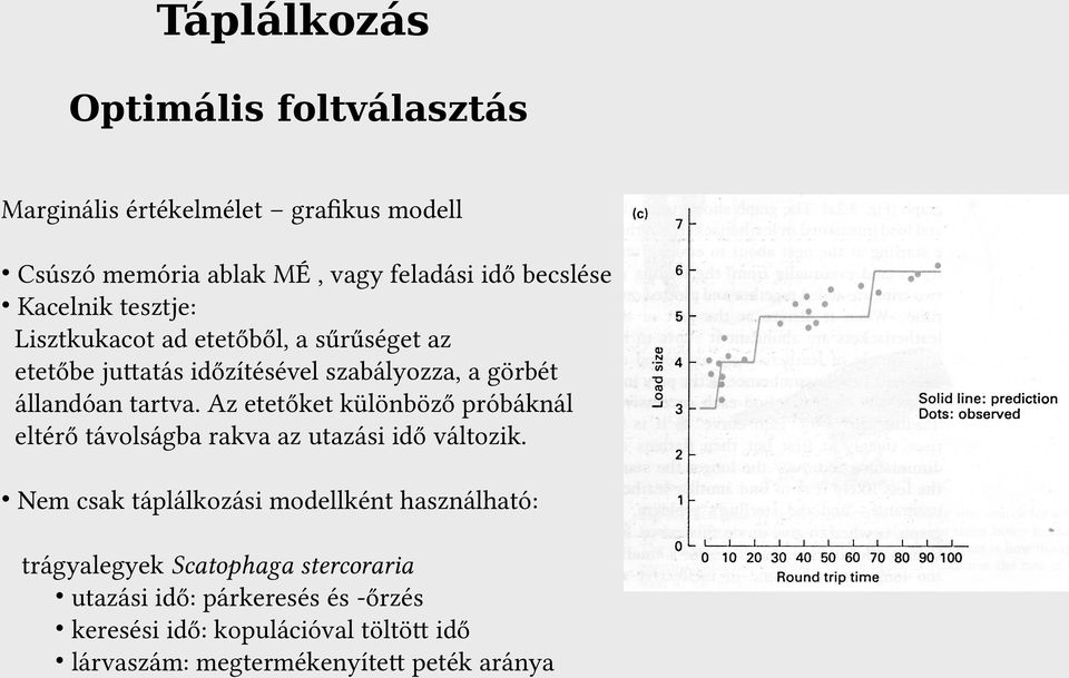 Az etetőket különböző próbáknál eltérő távolságba rakva az utazási idő változik.