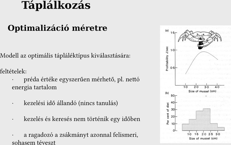 nettó energia tartalom kezelési idő állandó (nincs tanulás) kezelés és